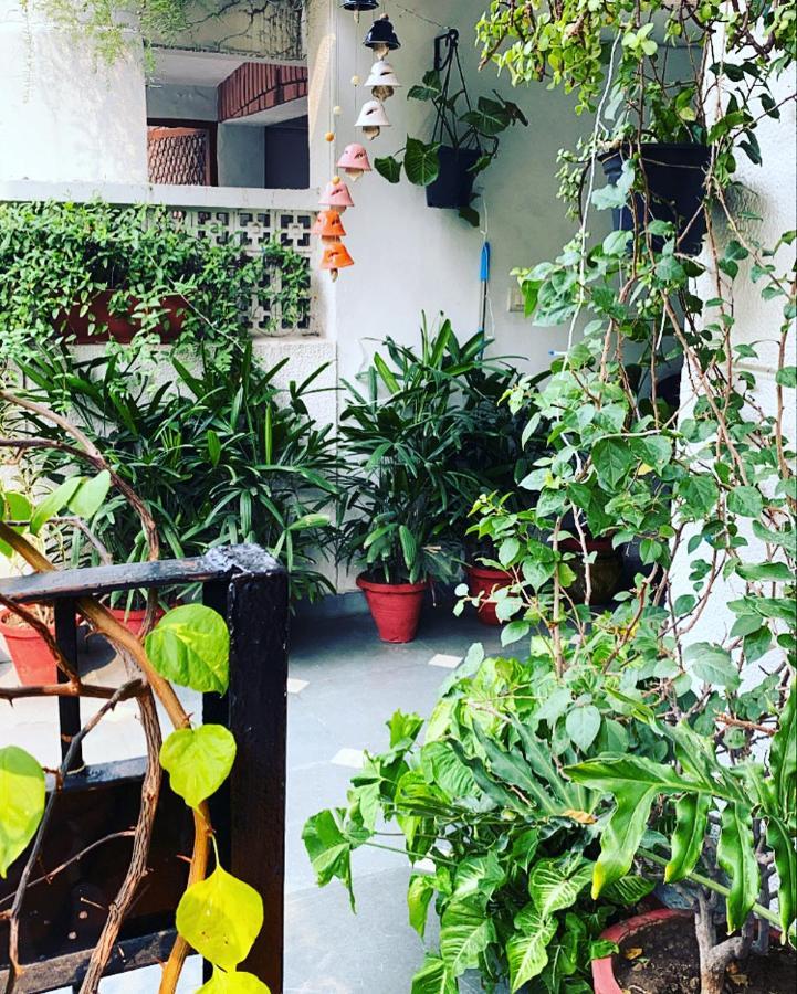 The Neem Bed and Breakfast New Delhi Exteriör bild